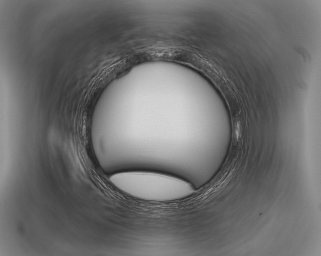 X0000115591396200911100921