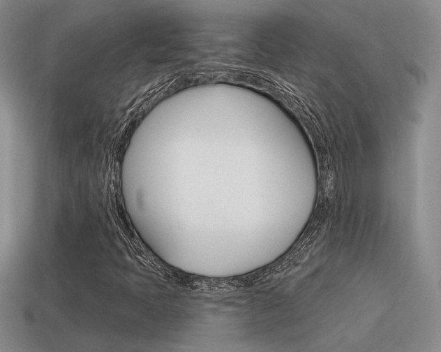 X0000115591397200911100921