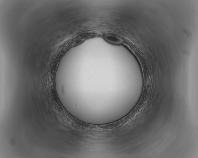 X0000115591398200911100921