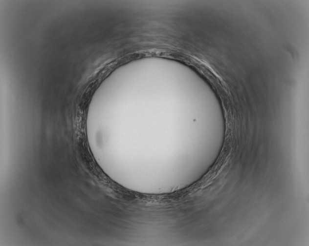 X0000115591399200911100921