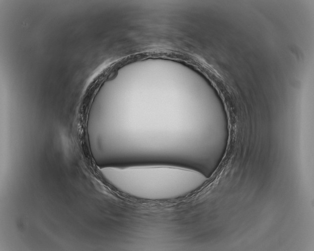 X0000115591400200911100921