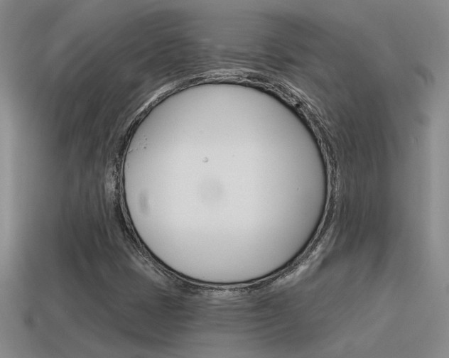 X0000115591401200911100921