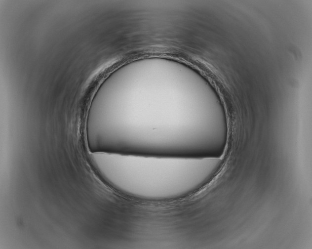 X0000115591402200911100921