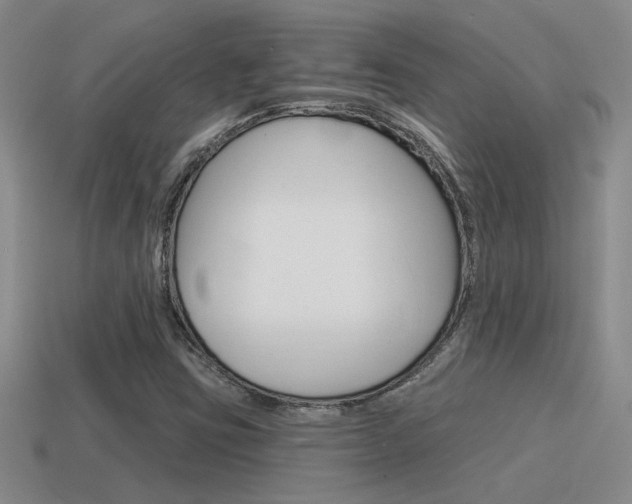 X0000115591403200911100921