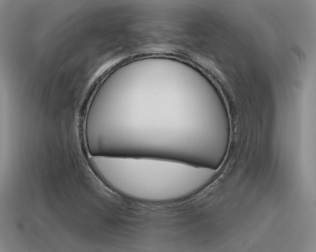 X0000115591404200911100921