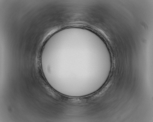 X0000115591405200911100921