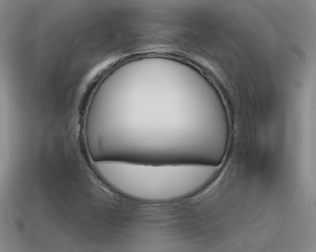 X0000115591406200911100921