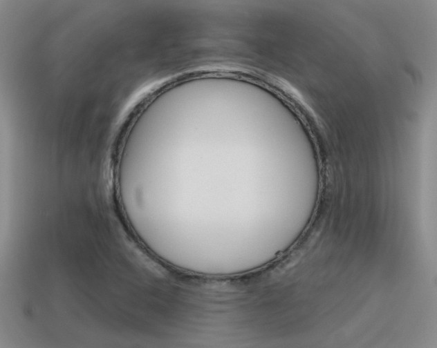 X0000115591408200911100921