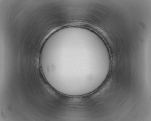 X0000115591409200911100921