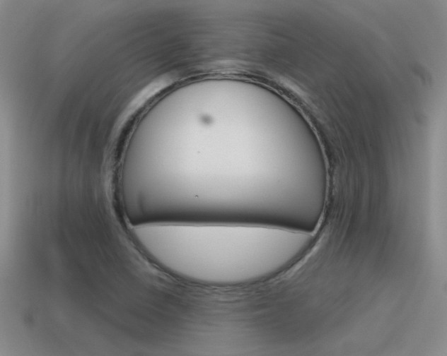 X0000115591410200911100921