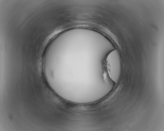 X0000115591411200911100921