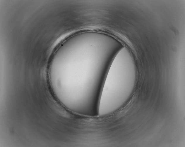 X0000115591412200911100921