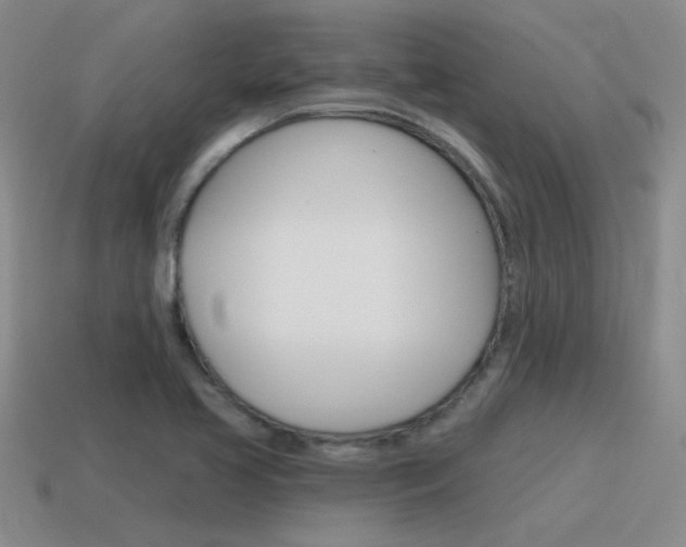 X0000115591413200911100921