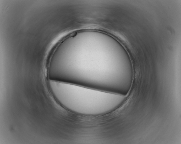 X0000115591414200911100921