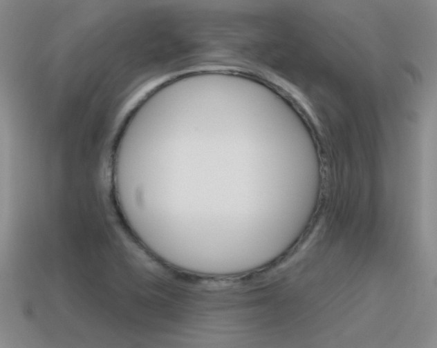 X0000115591415200911100922