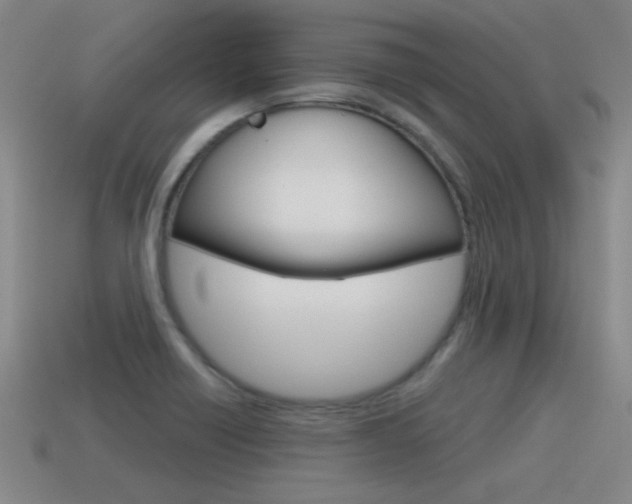 X0000115591418200911100922