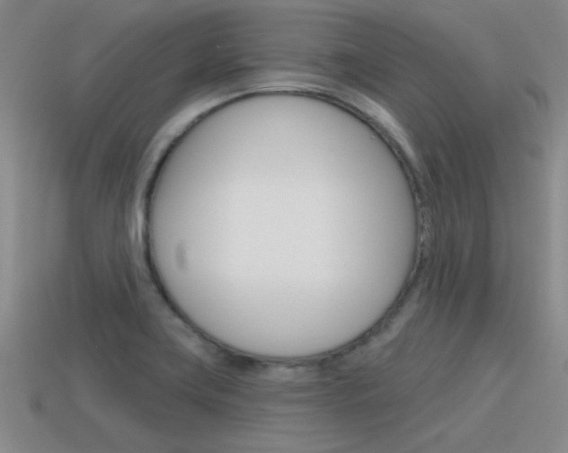 X0000115591419200911100922
