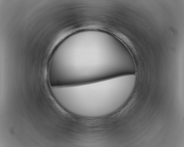 X0000115591420200911100922