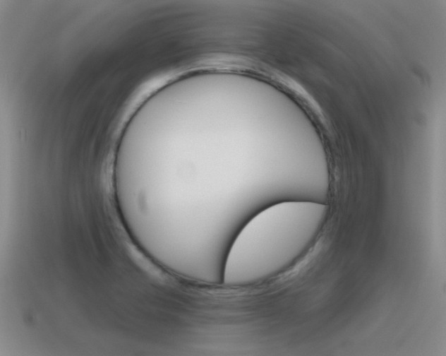 X0000115591421200911100922