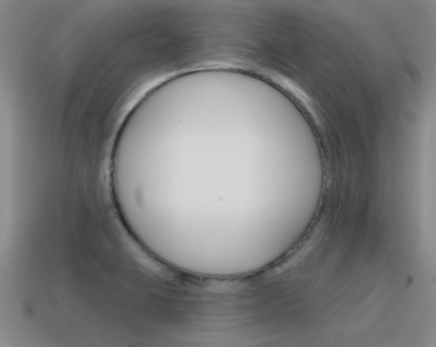 X0000115591423200911100922