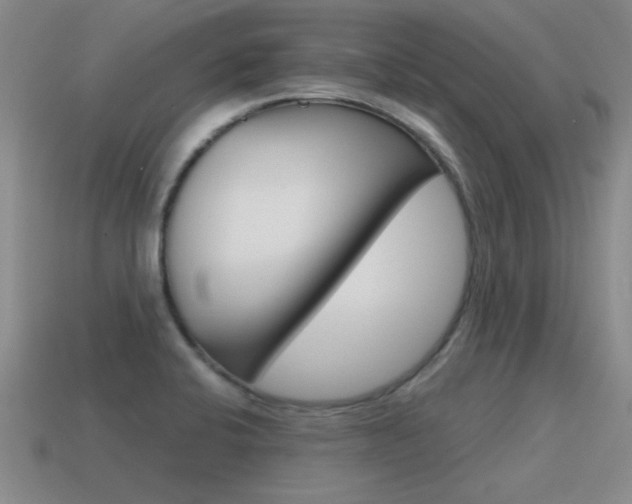 X0000115591424200911100922