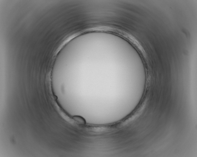 X0000115591425200911100922