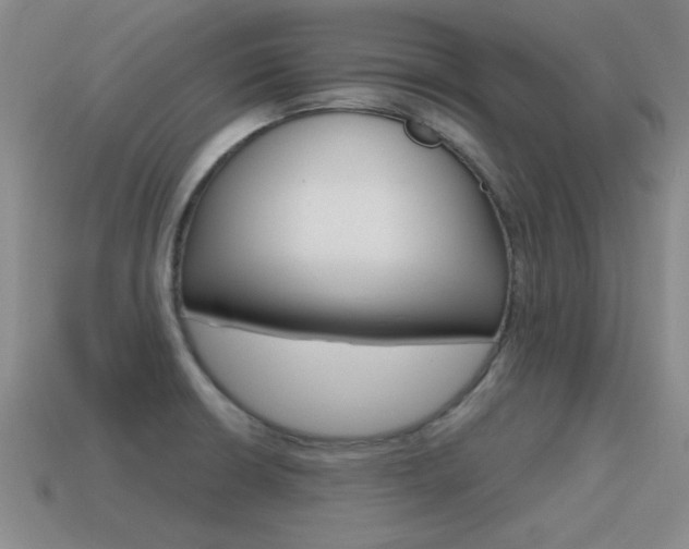X0000115591426200911100922