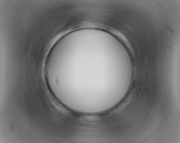 X0000115591427200911100922