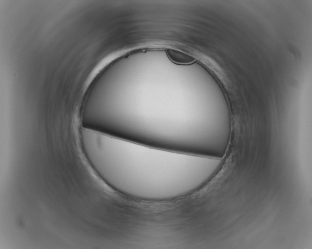X0000115591428200911100922