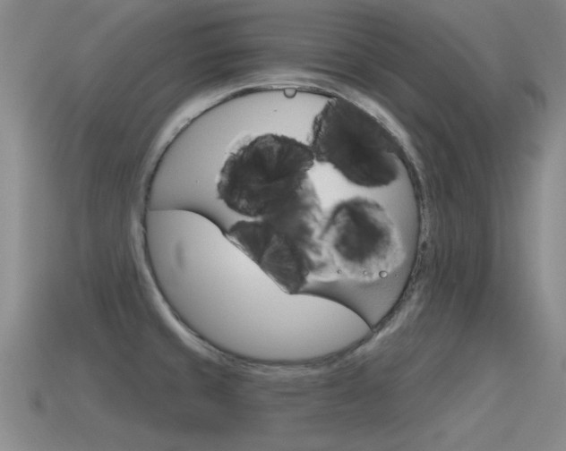 X0000115591429200911100922
