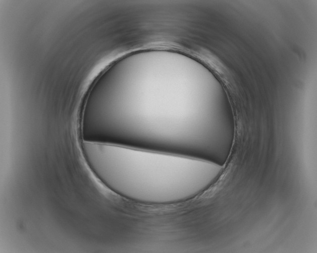 X0000115591430200911100922