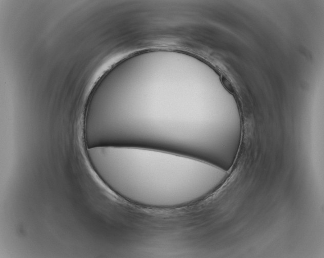 X0000115591432200911100922