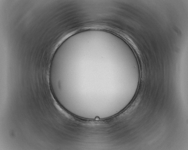 X0000115591433200911100922