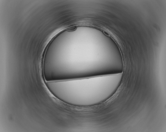 X0000115591434200911100922
