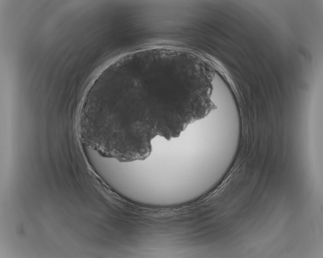 X0000115591435200911100922