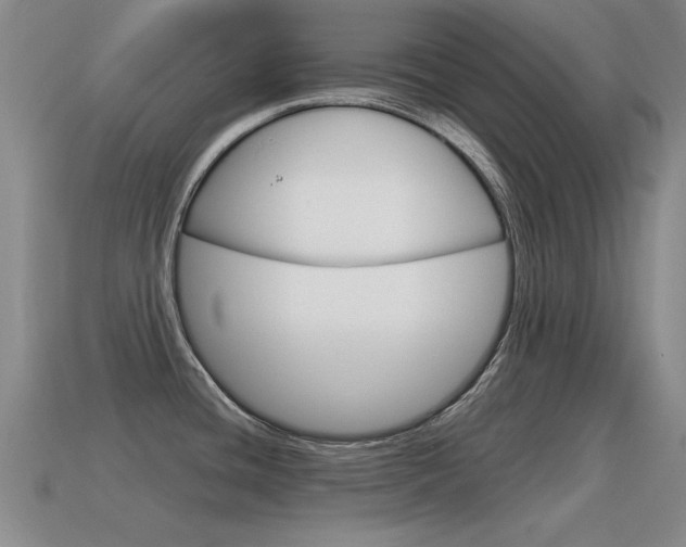 X0000115591436200911100922