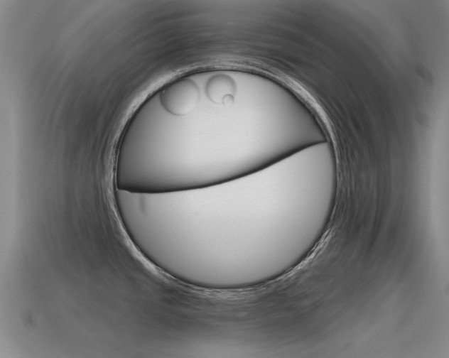 X0000115591437200911100922
