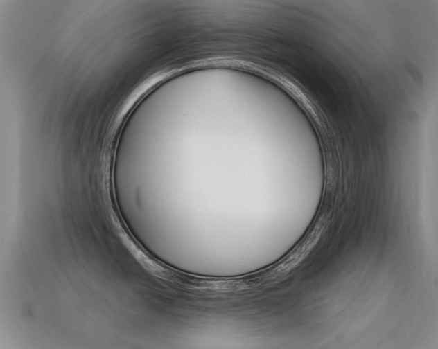 X0000115591438200911100922