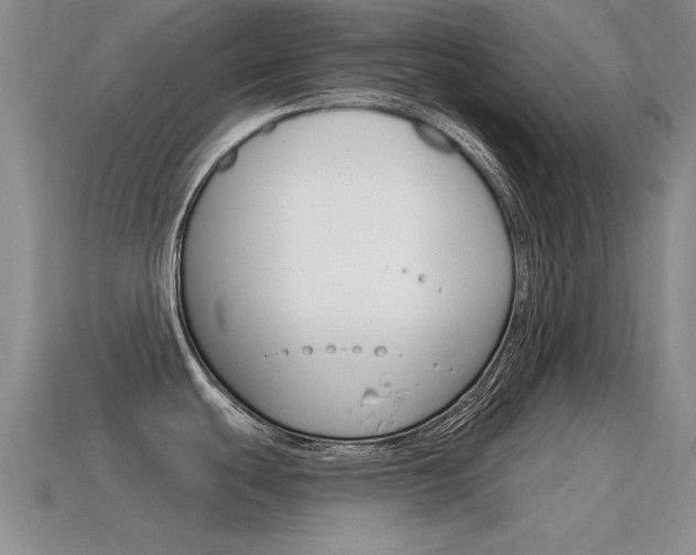 X0000115591439200911100922