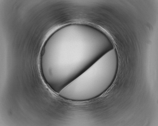 X0000115591440200911100922