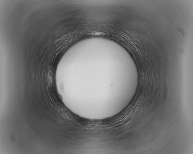 X0000115591442200911100921