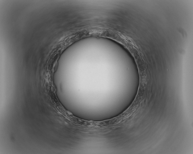 X0000115591445200911100921