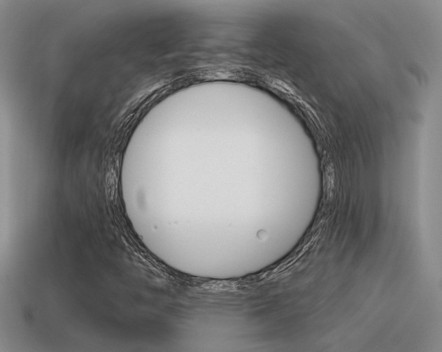 X0000115591446200911100921