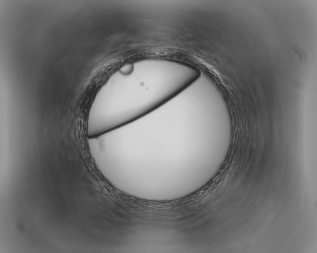 X0000115591447200911100921