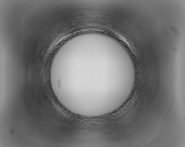 X0000115591448200911100921