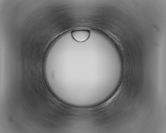 X0000115591449200911100921