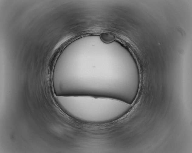 X0000115591450200911100921