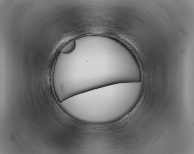 X0000115591451200911100921