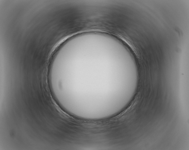 X0000115591452200911100921