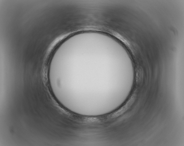 X0000115591454200911100921